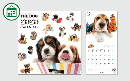 THE DOG 2020 Wall Calendar - All-STAR