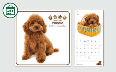 THE DOG 2020 Mini Wall Calendar - Poodle