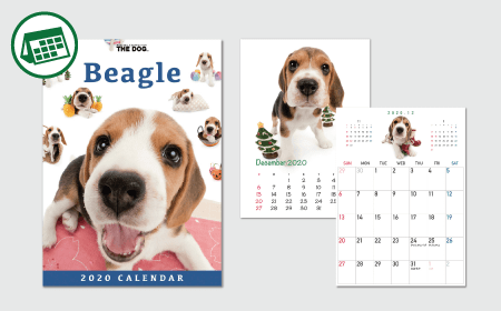 THE DOG 2020 Desk Calendar - Beagle
