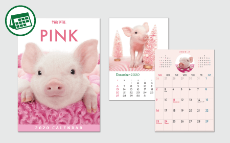 THE PIG PINK 2020 Desk Calendar - The Pig Pink